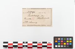 Etiketten zu Bronzearmreif (NHMW-PRAE-023890)